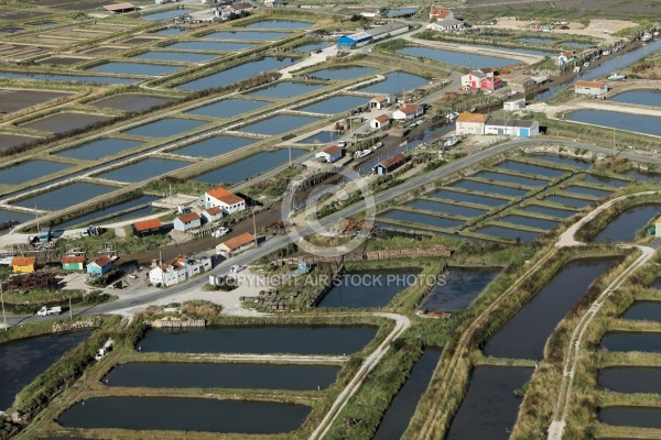 Marais de Bourcefranc-le-Chapus vue du ciel