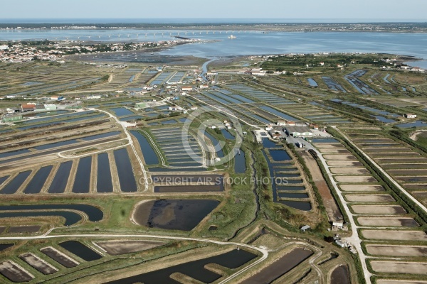 Marais de Bourcefranc-le-Chapus vue du ciel