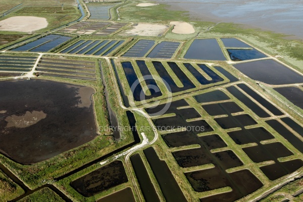 Marais de Bourcefranc-le-Chapus vue du ciel