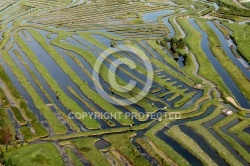 Marais de Jard-sur-Mer vue du ciel