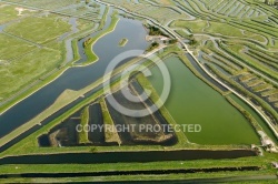 Marais de Jard-sur-Mer vue du ciel