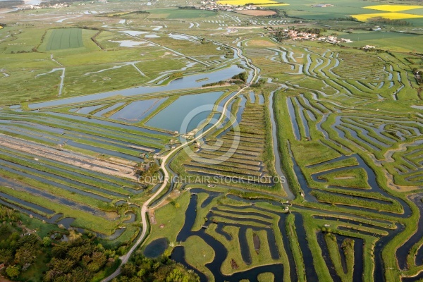 Marais de Jard-sur-Mer vue du ciel