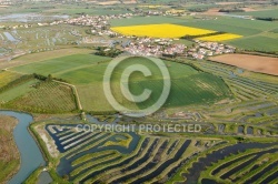 Marais de la Guittière vue du ciel