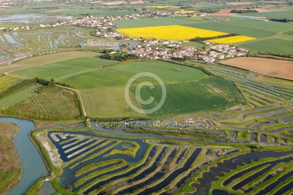 Marais de la Guittière vue du ciel