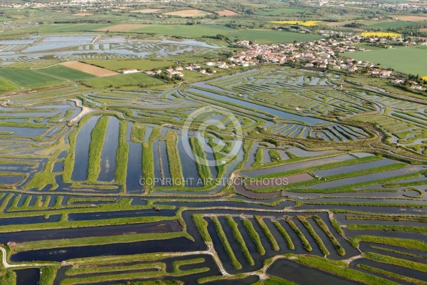 Marais de la Guittière vue du ciel