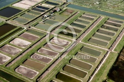 Marais de la Seudre , Saint-Just-Luzac vue du ciel