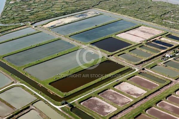 Marais de la Seudre , Saint-Just-Luzac vue du ciel