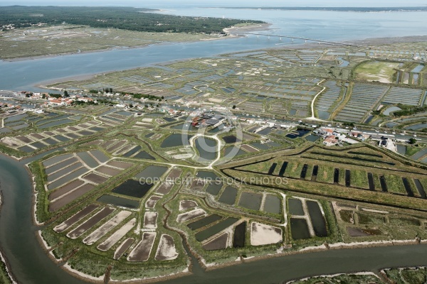 Marais de la Seudre, Marennes vue du ciel