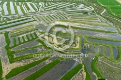 Marais de la Vinière vue du ciel , Jard-sur-Mer