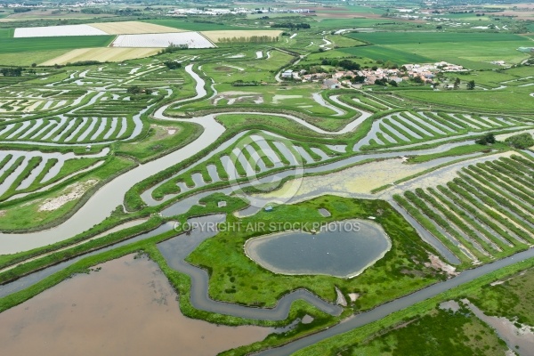 Marais de la Vinière vue du ciel , Jard-sur-Mer