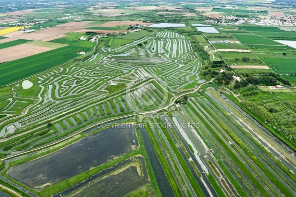 Marais de la Vinière vue du ciel , Jard-sur-Mer