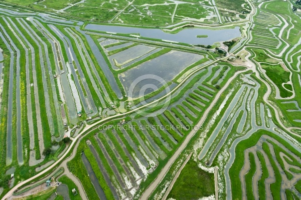 Marais de la Vinière vue du ciel , Jard-sur-Mer