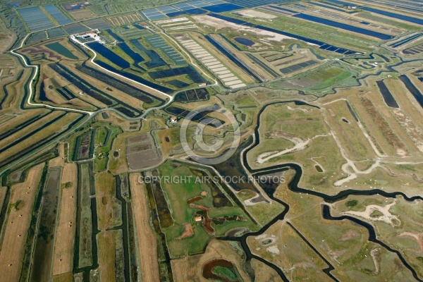 Marais de Marennes, Charente-Maritime