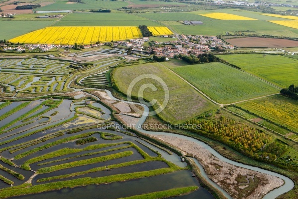 Marais de Talmont-Saint-Hilaire vue du ciel