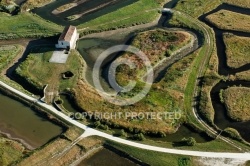 Marais du Moulin des Loges à Marennes