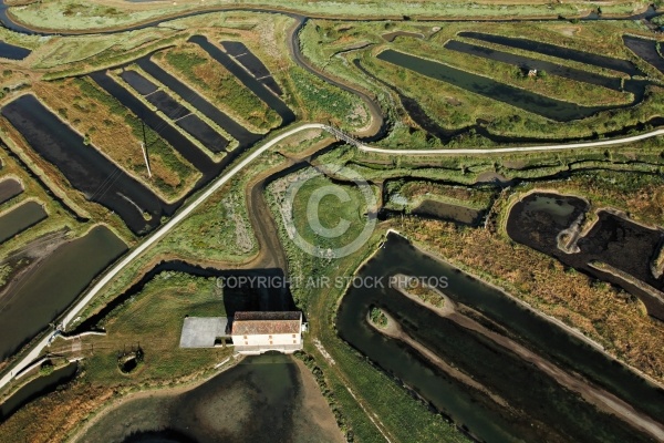 Marais du Moulin des Loges à Marennes