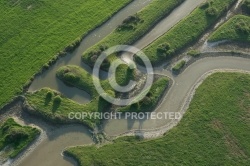 Marais du Payré et du Veillon, Vendée 85