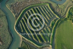 Marais du Payré et du Veillon, Vendée 85