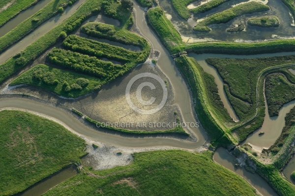 Marais du Payré et du Veillon, Vendée 85