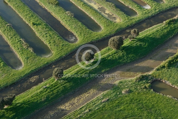 Marais du Payré et du Veillon, Vendée 85