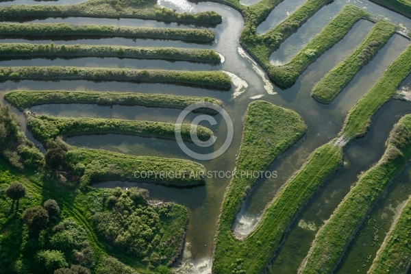 Marais du Payré et du Veillon, Vendée 85