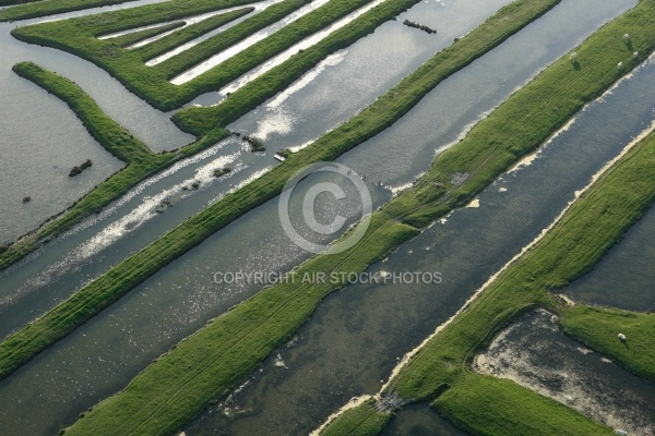 Marais du Payré et du Veillon, Vendée 85