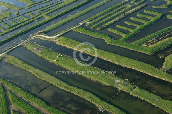 Marais du Payré et du Veillon, Vendée 85