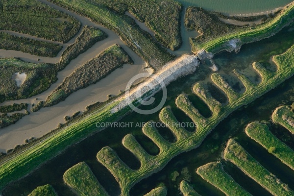 Marais du Payré et du Veillon, Vendée 85