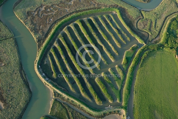 Marais du Payré et du Veillon, Vendée 85