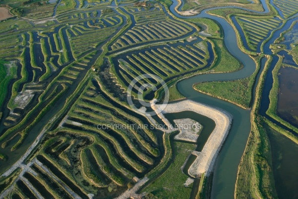 Marais du Payré et du Veillon, Vendée 85