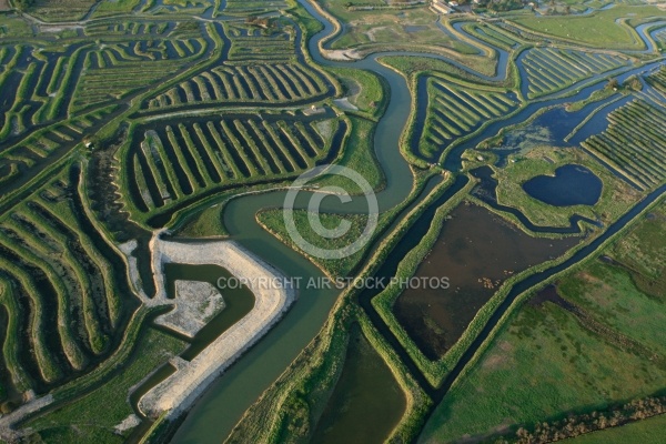 Marais du Payré et du Veillon, Vendée 85