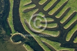 Marais du Veillon, Vendée 85