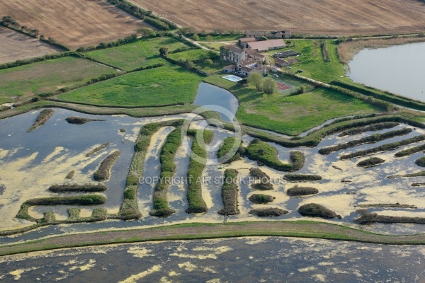 Marais du Veillon, Vendée 85