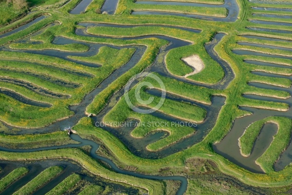 Marais du Veillon, Vendée 85