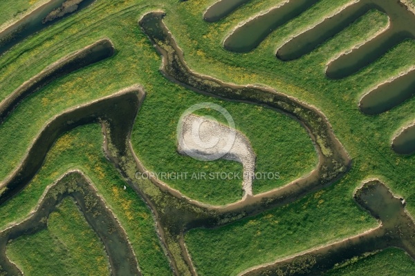 Marais du Veillon, Vendée 85