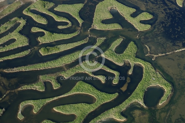 Marais du Veillon, Vendée 85