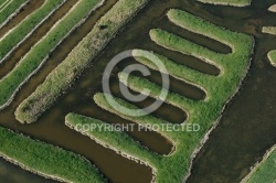Marais du Veillon, Vendée 85