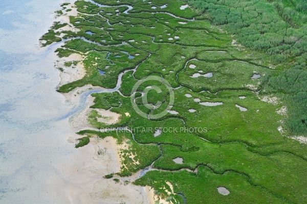 Marais et chenaux en charente Maritime 17