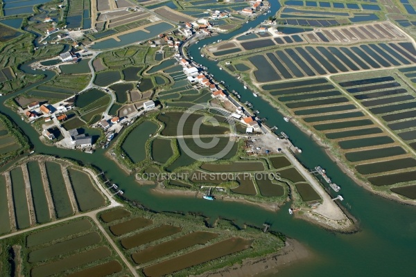 Marais ostréicole de La Grève à Duret, Arvert, Charente-Maritime