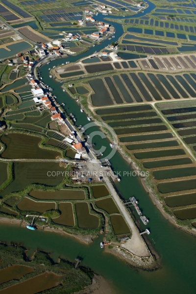 Marais ostréicole de La Grève à Duret, Arvert, Charente-Maritime