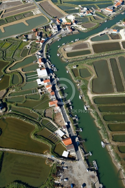 Marais ostréicole de La Grève à Duret, Arvert, Charente-Maritime