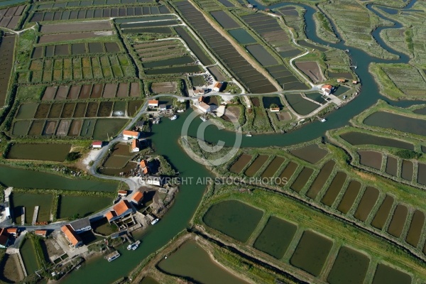 Marais ostréicole de La Grève à Duret, Arvert, Charente-Maritime