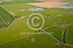 Marais Poitevin vue du ciel