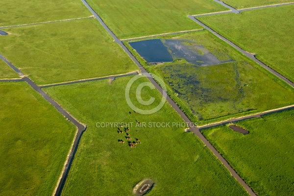 Marais Poitevin vue du ciel