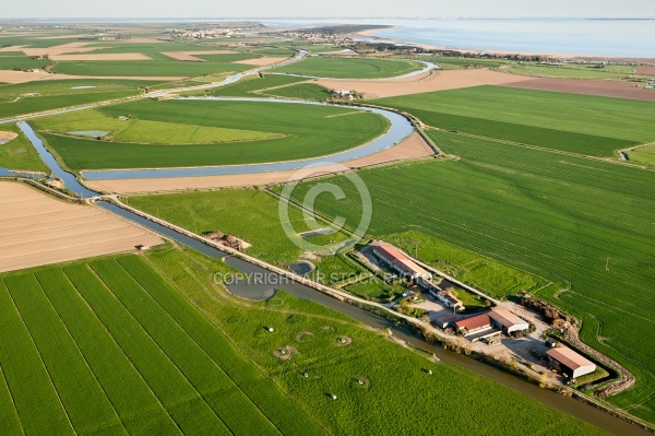 Marais Poitevin vue du ciel