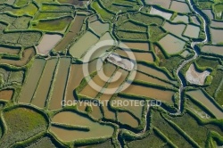 Marais salant de la Tremblade, Charente-Maritime 17