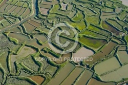 Marais salant de la Tremblade, Charente-Maritime 17