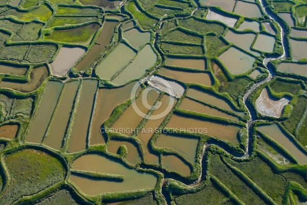 Marais salant de la Tremblade, Charente-Maritime 17