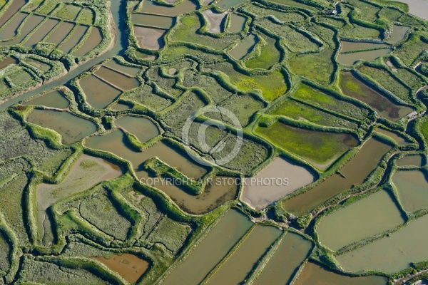 Marais salant de la Tremblade, Charente-Maritime 17