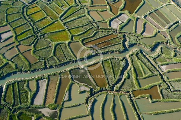 Marais salant de la Tremblade, Charente-Maritime 17